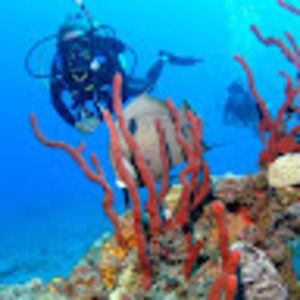 Meet your Posher, Kacy